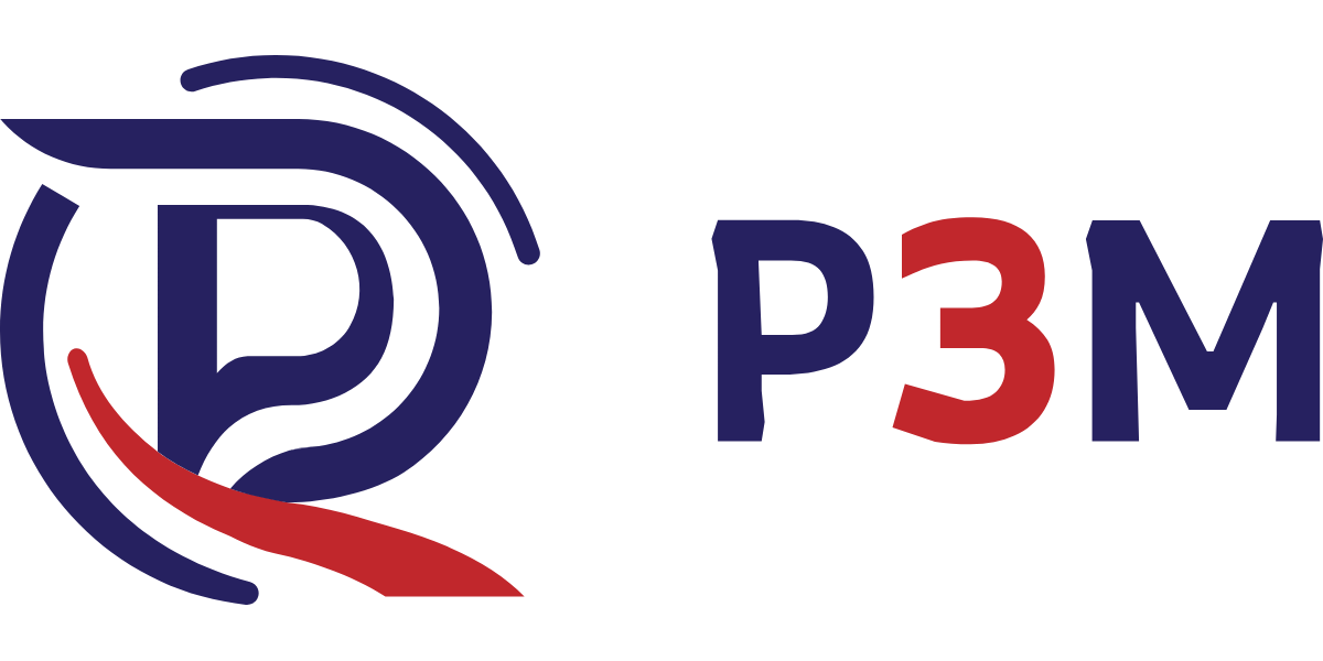 P3M Global Solutions